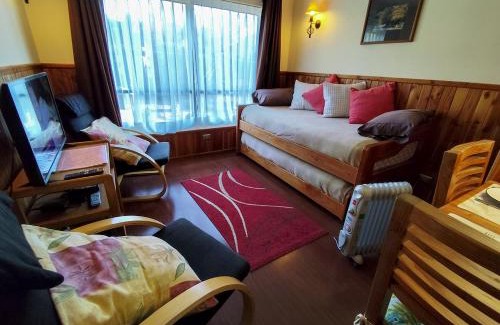 Pucon Apartment | Departamento Los Refugios