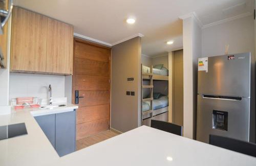 Pucon Apartment | Departamento Origen Pucon