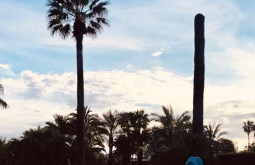 Terzigno Bed & Breakfast | Dependance Pompei