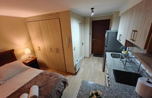 Chillan Apartment | Depto centro de chillan con estacionamiento