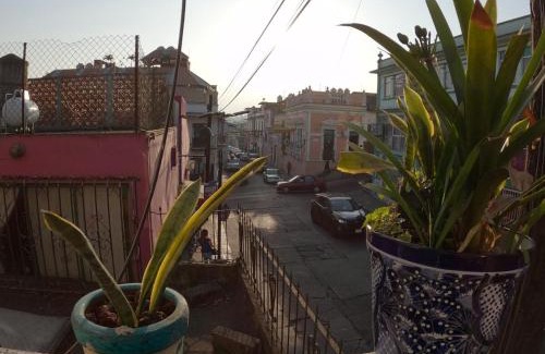 Xalapa Apartment | Depto CENTRO Parque Juarez