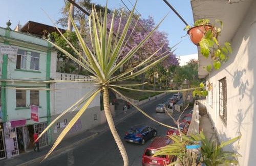 Xalapa Apartment | Depto CENTRO Parque Juarez