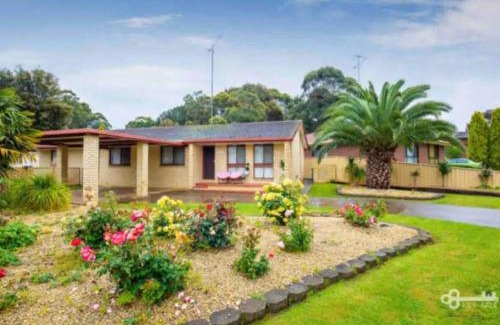 Mount Gambier House | Derwent Delight