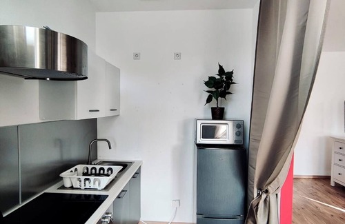 Friedrichstadt Apartment | Design Studio I Center I RED