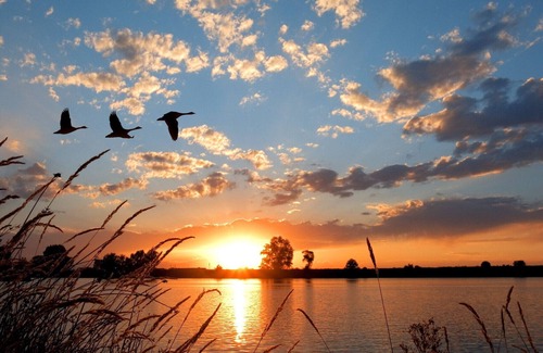 Medemblik House | Detached group accommodation for 14 people