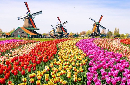 Medemblik House | Detached group accommodation for 14 people