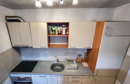 Bistrica Apartment | Detelinara