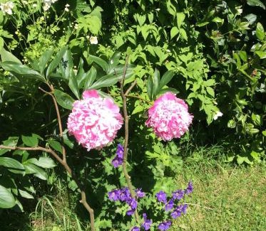Magherafelt Bed & Breakfast | Dewhamill
