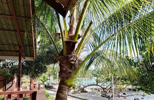 Koh Rong Resort | DG Royal Resort