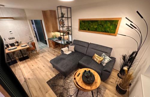 Brno-stred Apartment | DH Vankovka Design Apartment 1kk - BUS, Train, Vankovka - 1min, Netflix-SmartTV, Nespresso, Free Parking