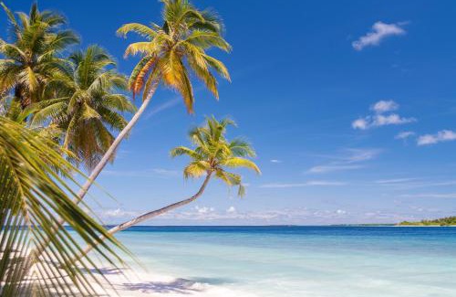 Maalhos House | Dhonfulhafi Beach View