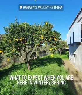 Karavas House | Diamoni Afroditi two houses for max 6 persons