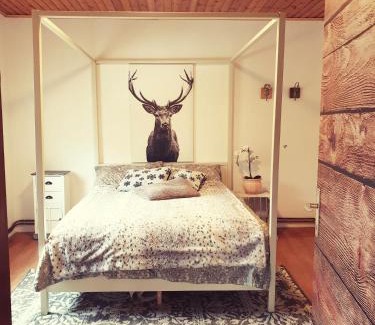 Sankt Martin House | Die Alm in Schöllbüchl, Privatzimmer