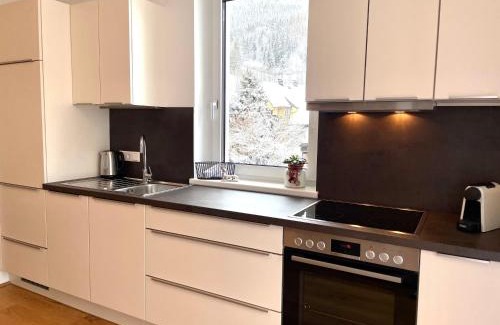 Tauplitz Apartment | die Tauplitz Lodges - Alm Lodge A8 by AA Holiday Homes