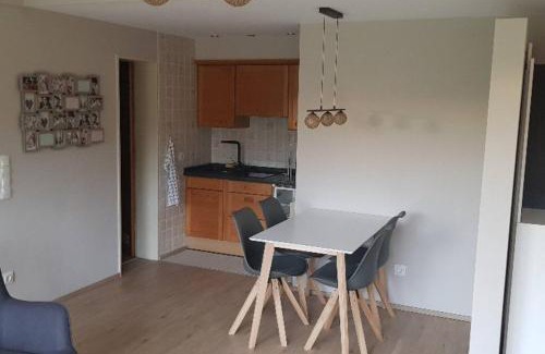 Bad Duerrheim Apartment | Die Wohlfühloase in Bad Dürrheim - DreiWeltenCard