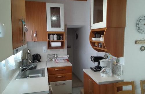 Central Tzoumerka Apartment | Dimitra's traditional house