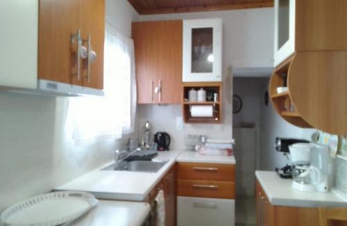 Central Tzoumerka Apartment | Dimitra's traditional house