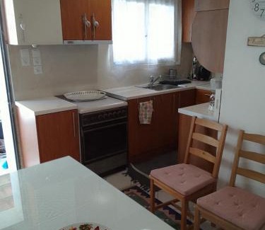 Central Tzoumerka Apartment | Dimitra's traditional house
