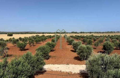 Specchiolla Villa | Dimora Caselli by Meravigliosa Puglia Real Estate