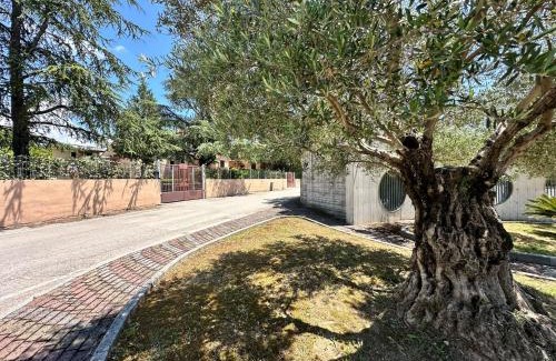 Pontecagnano Faiano Bed & Breakfast | Dimora Don Antonio