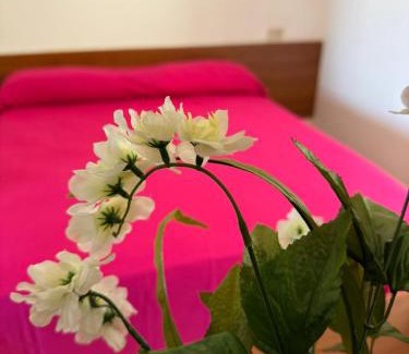 Mandrione Bed & Breakfast | Dimora Flaminio