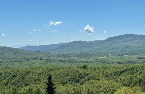 Cercepiccola House | Dimora Nobile