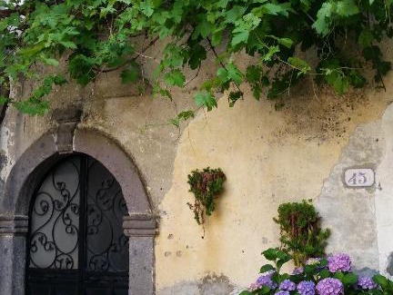 Cellere Apartment | Dimora Plandiana