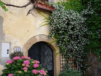 Cellere Apartment | Dimora Plandiana