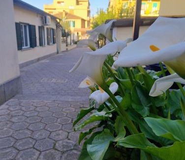 Suburbio XI della Vittoria Apartment | Dimora Trionfale
