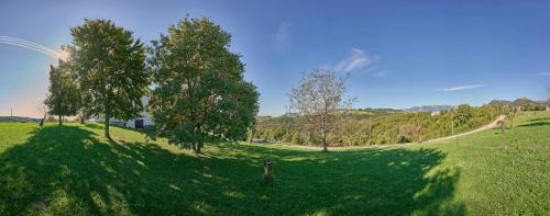 Sant'Anna d'Alfaedo Apartment | Dimora Valentina