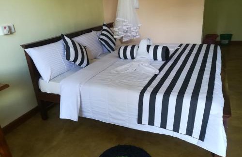 Ella House | Dinaro Guest