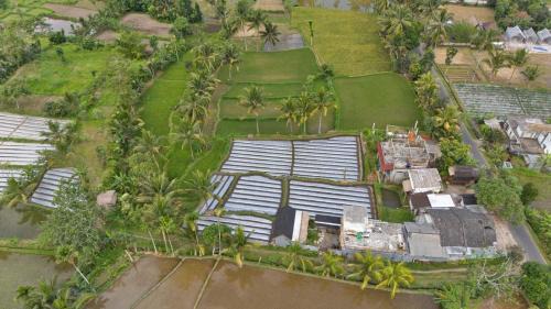 Tetebatu House | Dira Bungalows