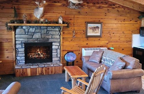 Sylvan Shores Cabin | Direct Waterfront Cabin with Boat Dock & Swim Deck