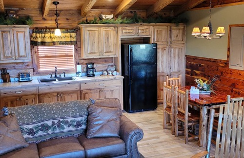 Sylvan Shores Cabin | Direct Waterfront Cabin with Boat Dock & Swim Deck
