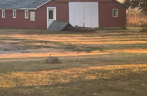 Buffalo County House | Dirt Road Inn, Charming 2-bedroom house located out in the beautiful countryside