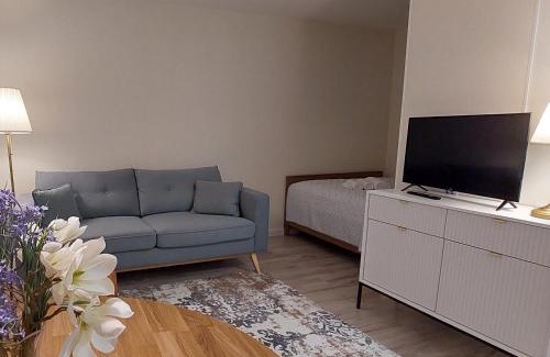 Siauliai City Center Apartment | DIVA contactless check in & out