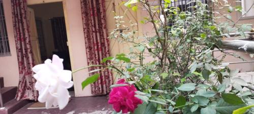 Puri Apartment | Divine view - 1 bhk AC - Swarna Bhavan