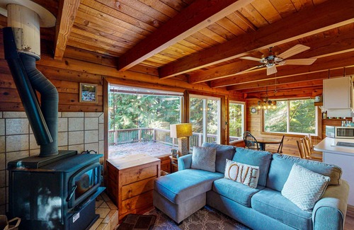 Otis Cabin | Dog-friendly cabin with ocean view, fast WiFi, fireplace, and washer/dryer