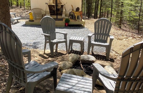 Middle Grove RV Rental | Dog-friendly glamping near Saratoga with electricity, comfy beds, and access to trails and pond.