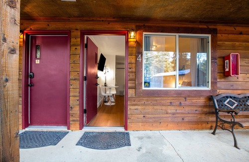 Quilcene Apartment | Dog-friendly studio close to hiking with mountain views & fast WiFi