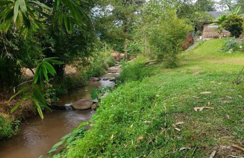 Mae Taeng House | DoiLom Elephant Farmstay
