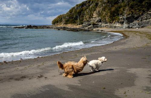 Nagawa Hotel | DokiDoggie油壺globe