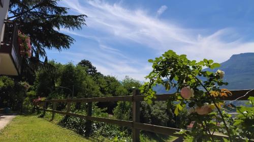 Rovereto Bed & Breakfast | DOLCE DORMIRE
