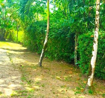 Les Hattes House | Dolce Vita Kreyol