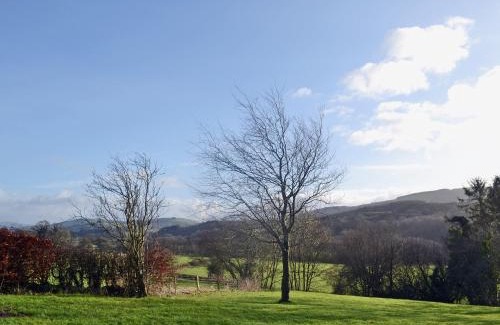 Llandeilo House | Dolgoed House