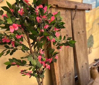 Bukhara Province House | Dolon B&B