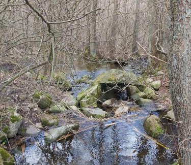Dabrowno House | Dom na Końcu Świata Ostrowite Sauna i Ruska Bania