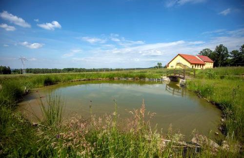 Lesna House | Dom Na Leśnej Górze