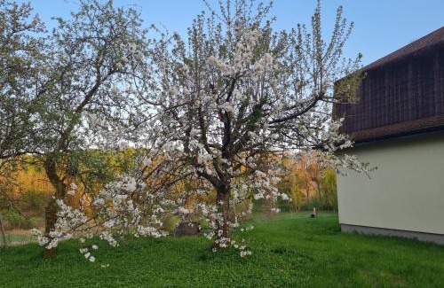 gmina Polanow House | Dom Na Wzgórzu
