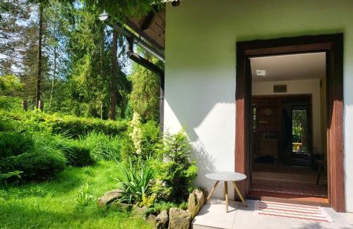Niedzwiedz House | Dom Pod Salamandrą Koninki